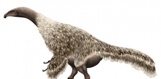 Dinozaurul omnivor Nanshiungosaurus din Asia