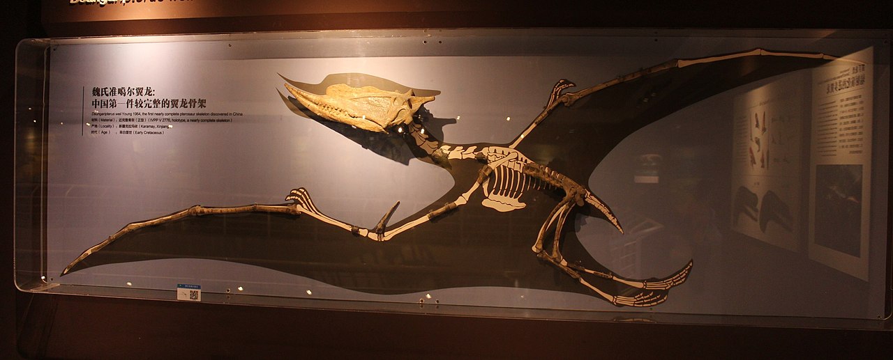 Dsungaripterus