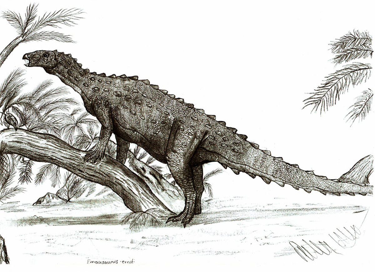 Emausaurus, Foto: dinosaurier-info.de