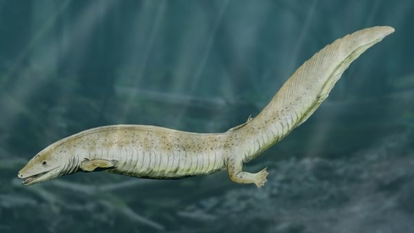 Eogyrinus, Foto: snipview.com