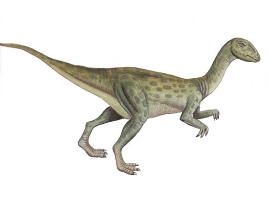 Fulgurotherium, Foto: imgarcade.com