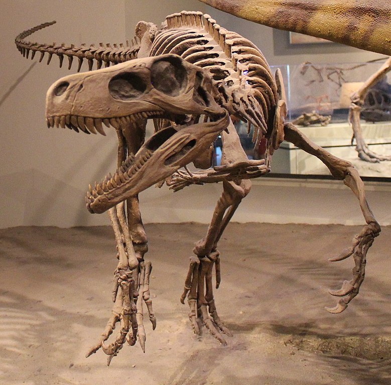 Herrerasaurus