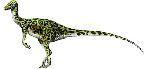 Jubbulpuria, Foto: fotolog.com Jubbulpuria, Foto: fotolog.com