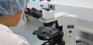 Cine a inventat microscopul si cum s-a dezvoltat acest dispozitiv valoros? Microscop