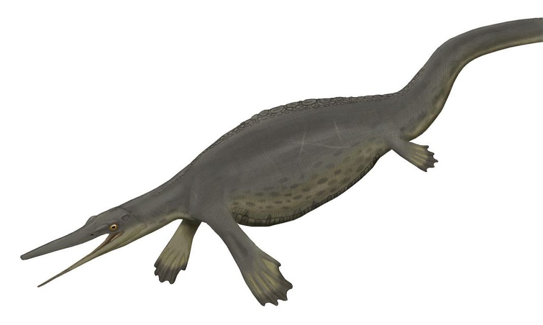 Nanchangosaurus