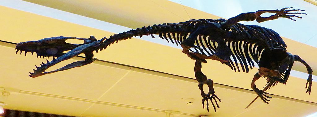 Nothosaurus