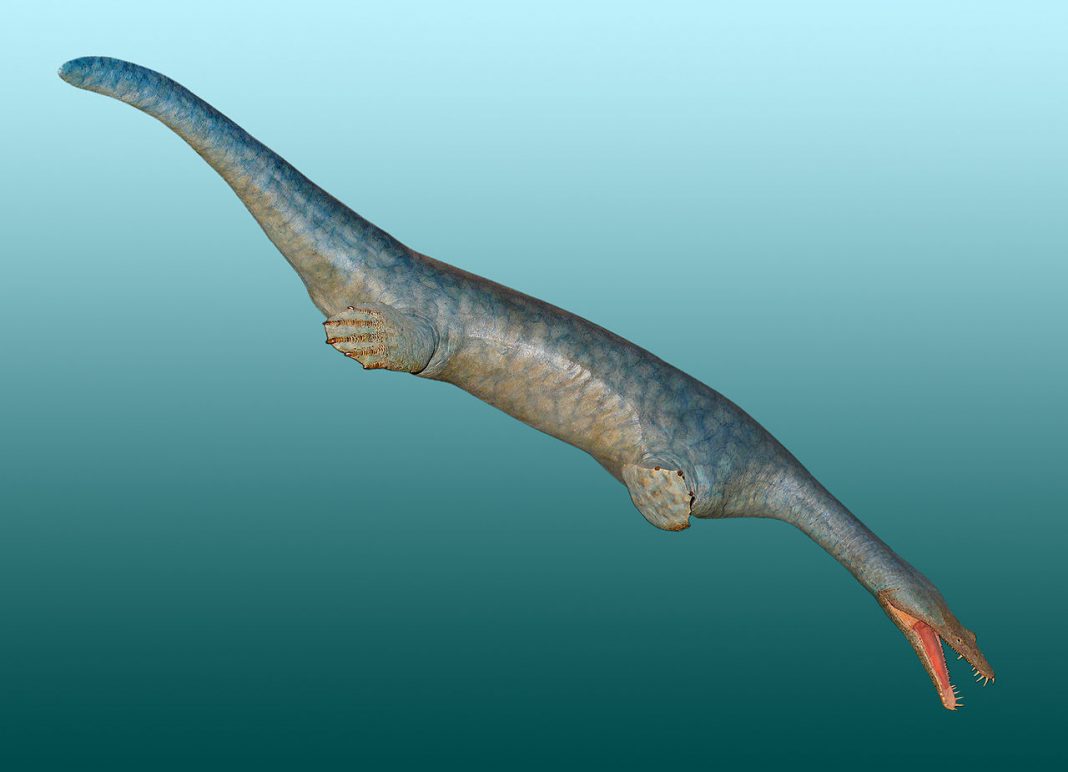 Nothosaurus, reptila marină din perioada Triasicului