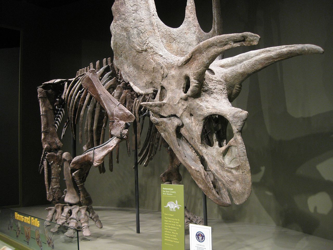 Pentaceratops