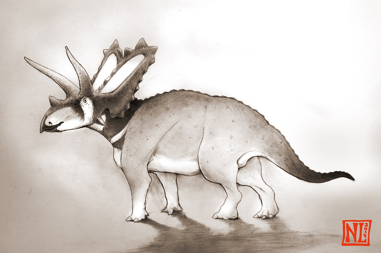 Pentaceratops - Dinozaurul cu cinci coarne descris de paleontologul H. F. Osborn