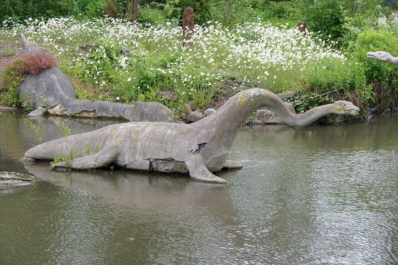 Plesiosaurus
