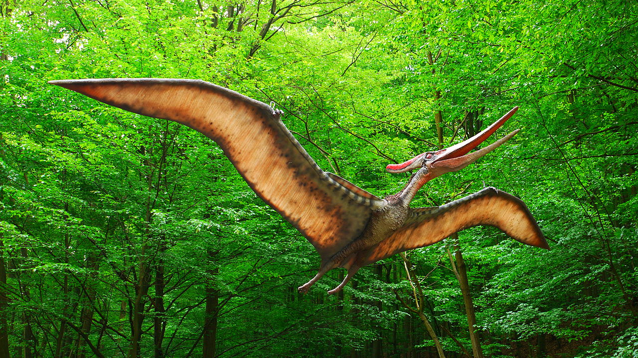 Pteranodon, dinozaurul zburător din Cretacicul superior