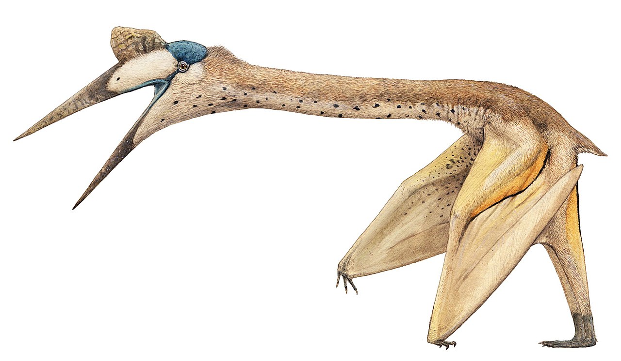 Quetzalcoatlus