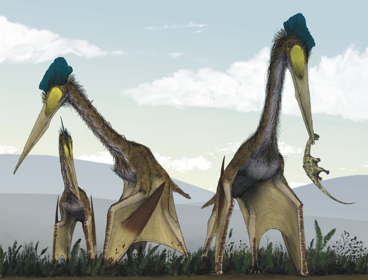 Quetzalcoatlus, dinozaurul zburător din America de Nord