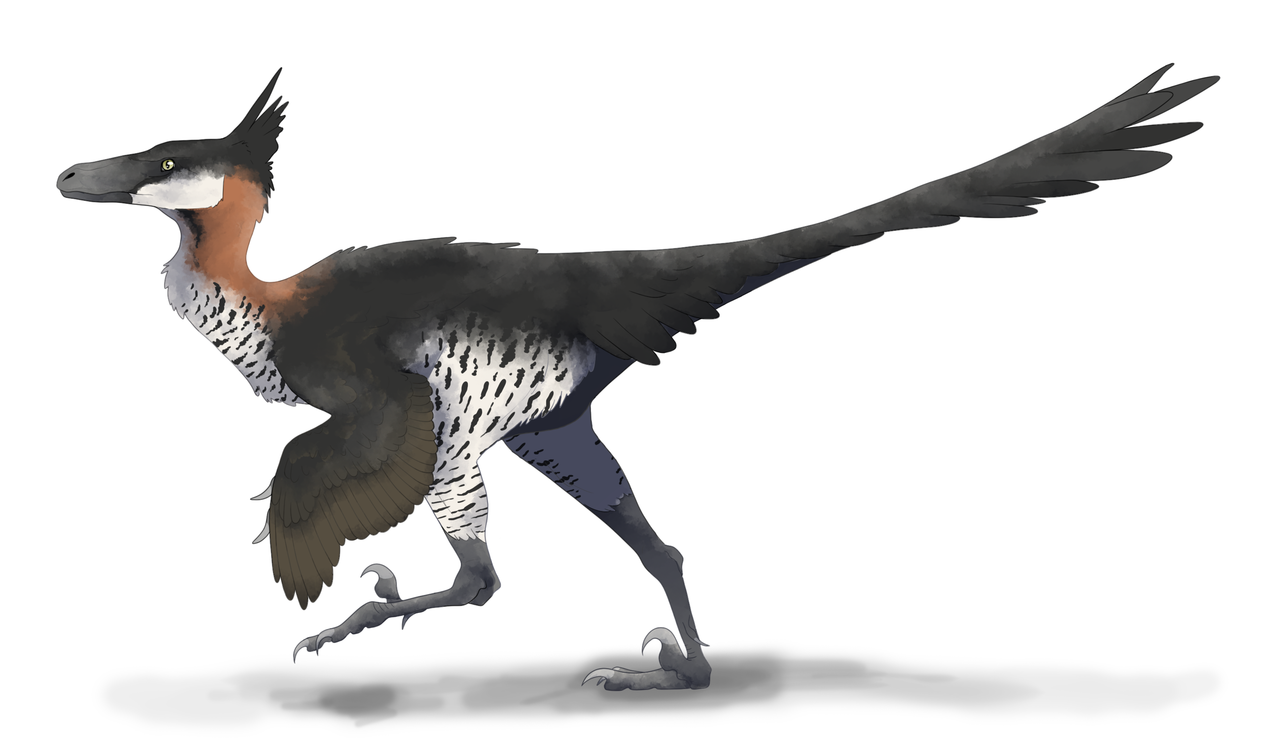 Saurornithoides, considerat de Dale Russell un dinozaur ,,inteligent”