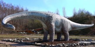 Seismosaurus, dinozaurul care cutremură pământul în Jurasicul superior