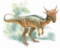 Stygimoloch spinifer 1