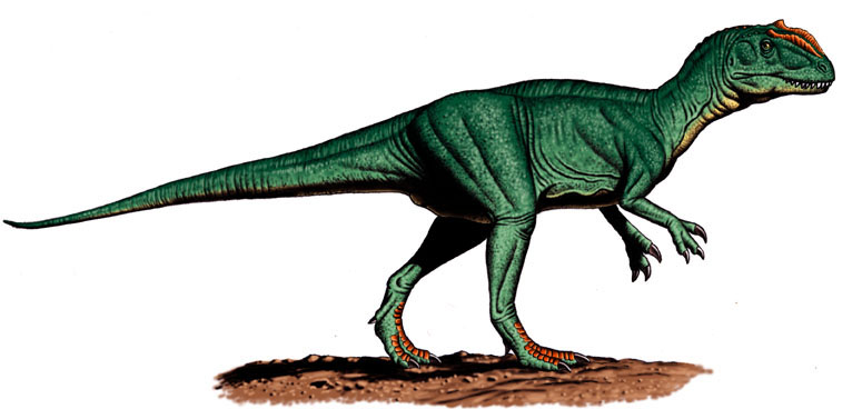 Szechuanosaurus, Foto: geocities.ws