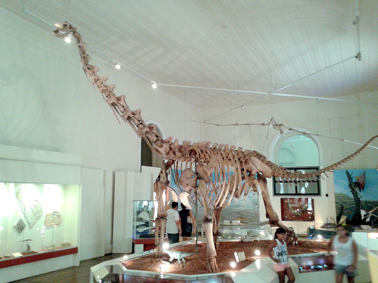 Titanosaurus