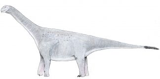 Turiasaurus, cel mai mare dinozaur descoperit în Europa