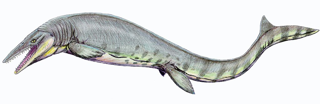 Tylosaurus, cel mai mare mosazaur marin din Cretacicul superior