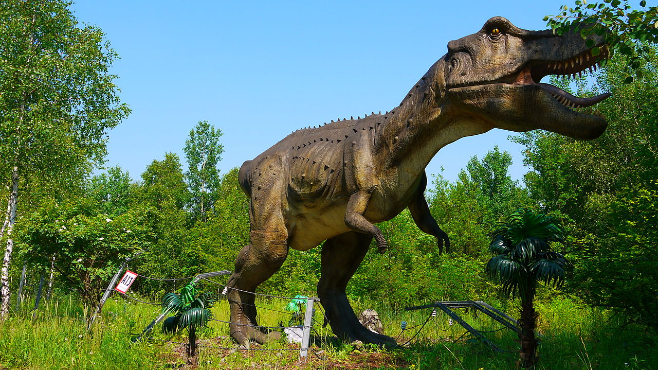 Tyrannosaurus rex, cel mai mare dinozaur de pradă de pe suprafața Pământului