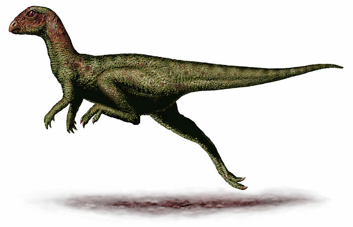 Zephyrosaurus, Foto: dinography.blogspot.com