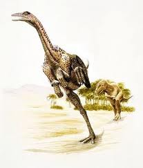 Anserimimus, dinozaurul din Asia, Foto: guilhermeelasmoteri.blogspot.com