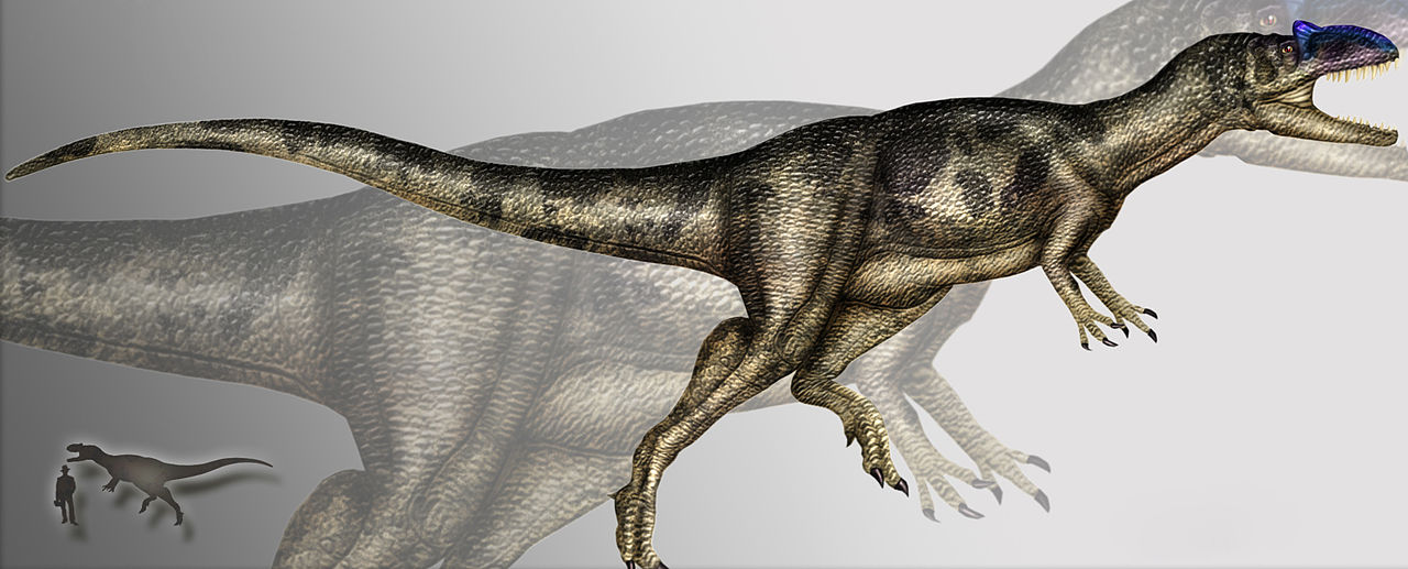 Allosaurus