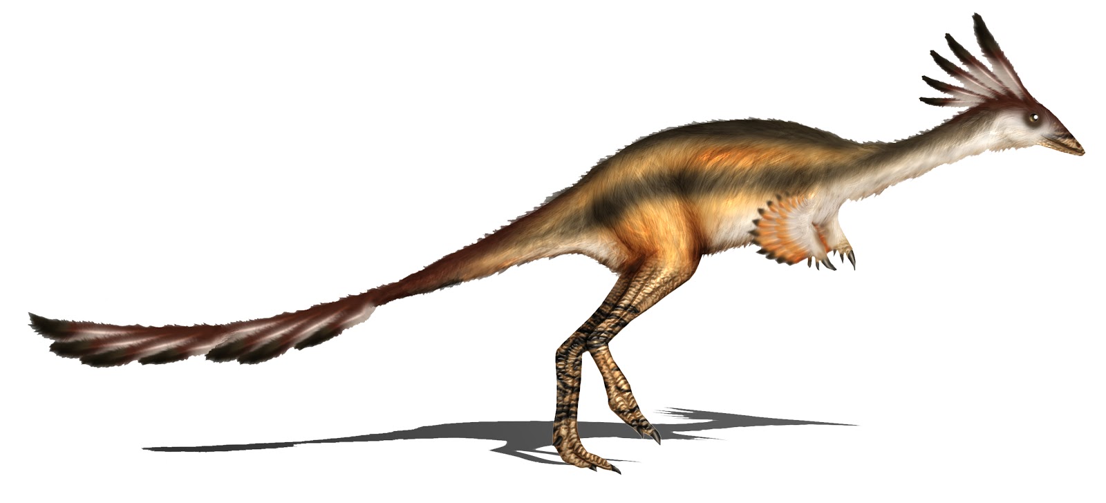 Alvarezsaurus, Foto: thenaturalworld1.blogspot.com