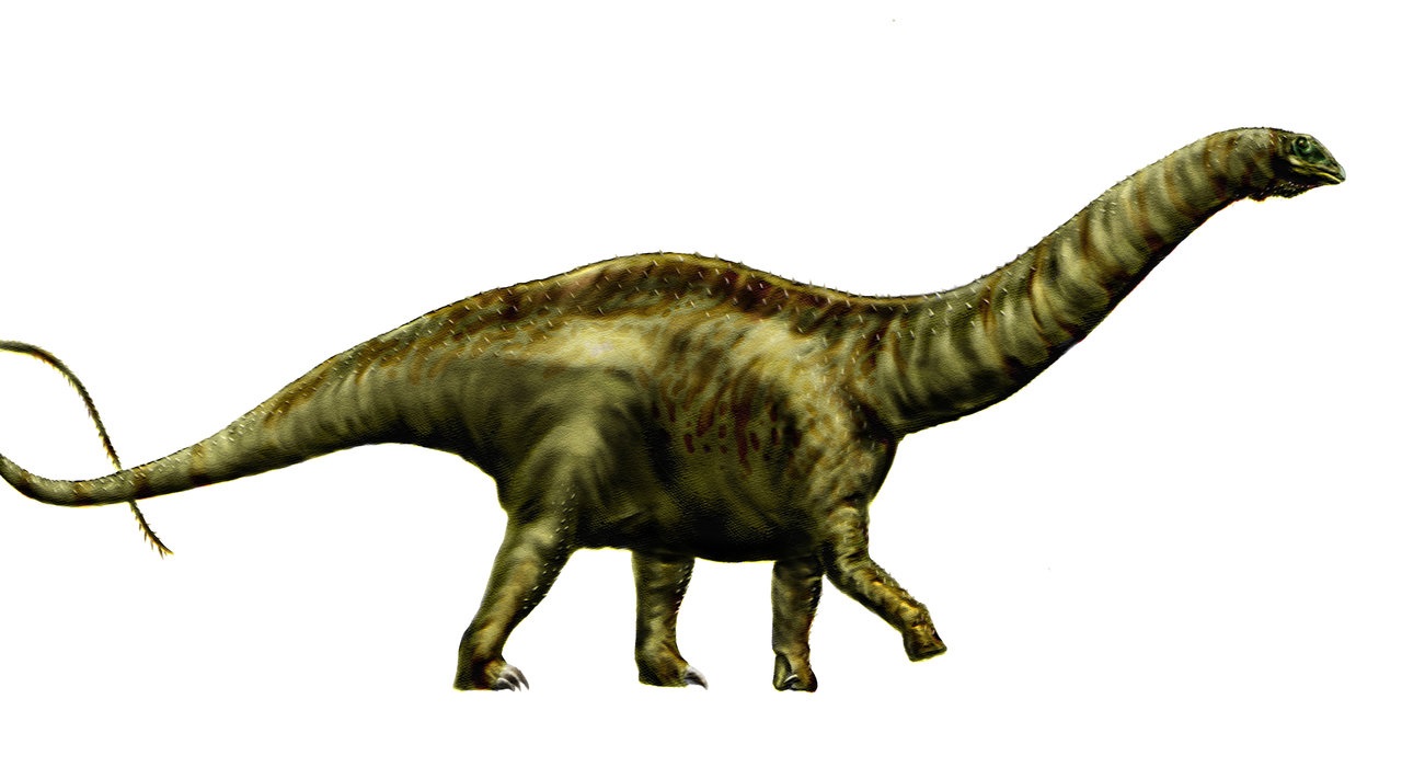 Apatosaurus