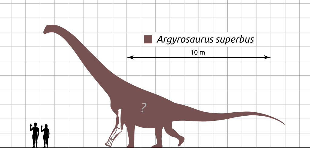 Argyrosaurus superbus