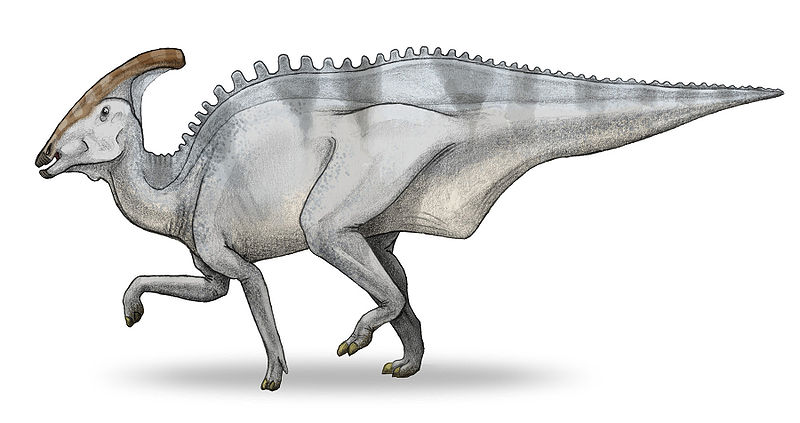 Charonosaurus, Foto: tw.knowledge.yahoo.com