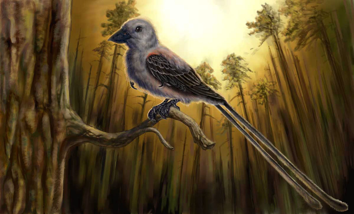 Confuciusornis, Foto: dinossauros-wwwdinossaurosecia.blogspot.com