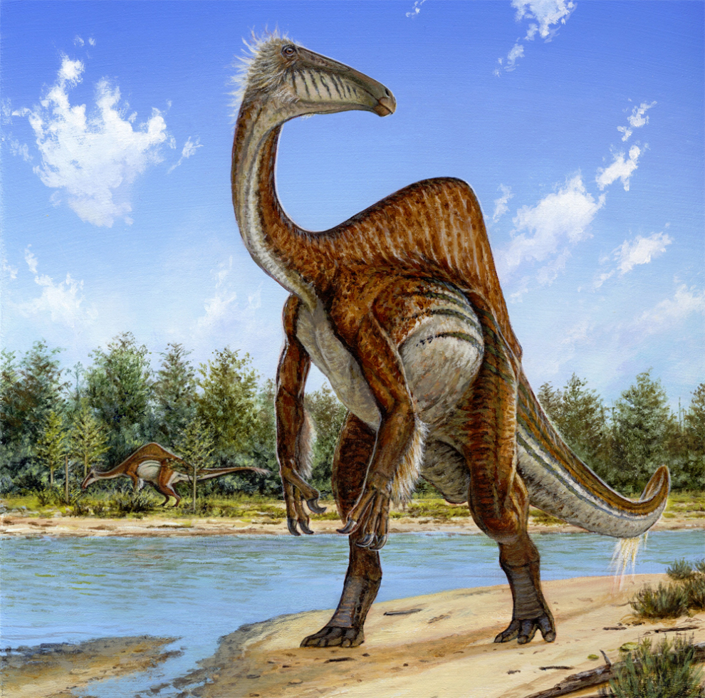 Deinocheirus, Foto: phenomena.nationalgeographic.com