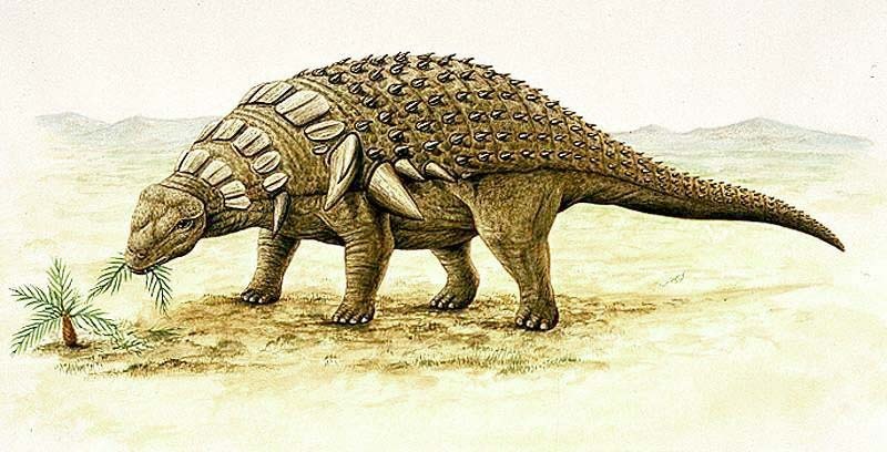 Edmontonia, Foto: fanpop.com