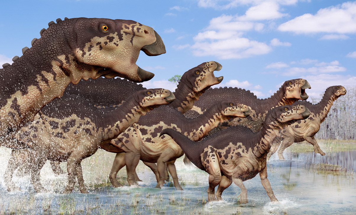 Edmontosaurus, Foto: zbrushcentral.com