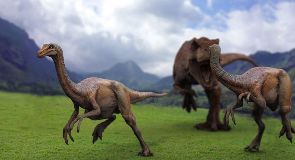 Gallimimus, Foto: imgarcade.com