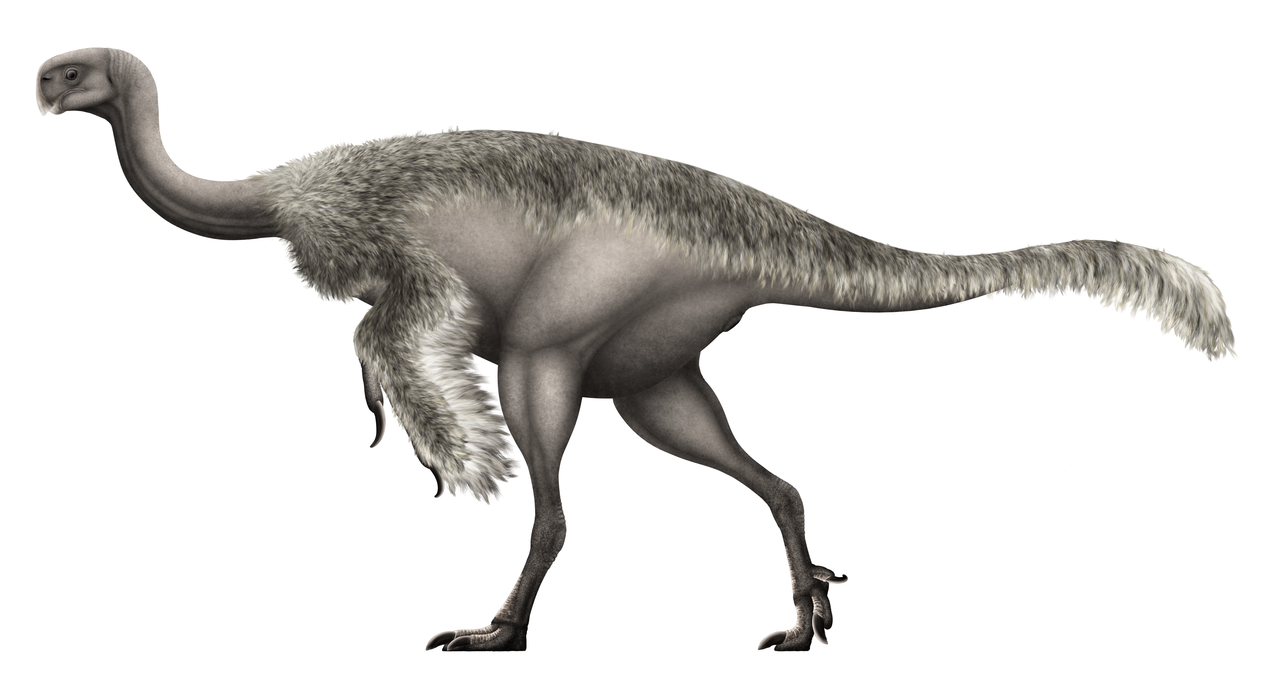 Gigantoraptor erlianensis