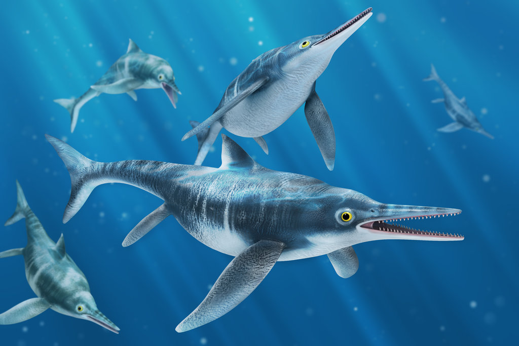 Ichthyosaurus, Foto: foldrajzmagazin.hu