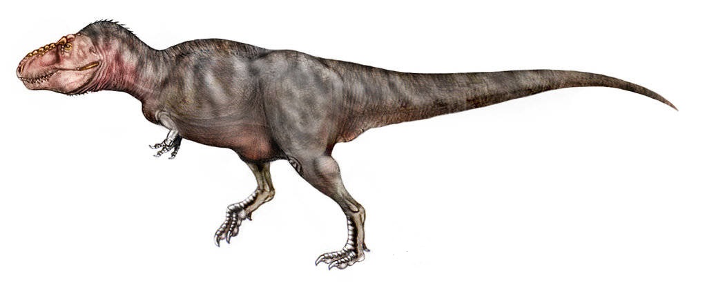 Lagosuchus talampayensis, Foto: taringa.net Lagosuchus talampayensis, Foto: taringa.net