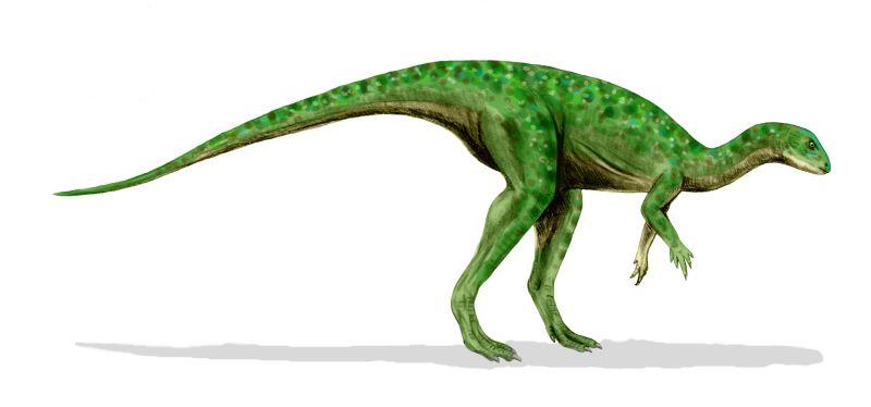 Laosaurus, Foto: redorbit.com