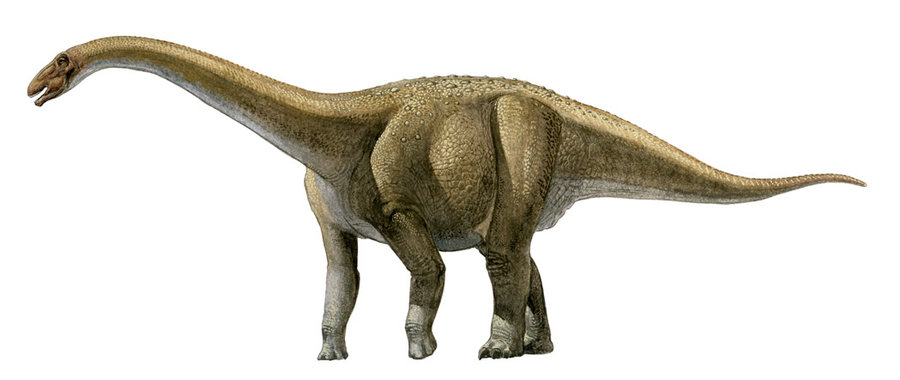 Laplatasaurus, Foto: paleo-studies.tumblr.com