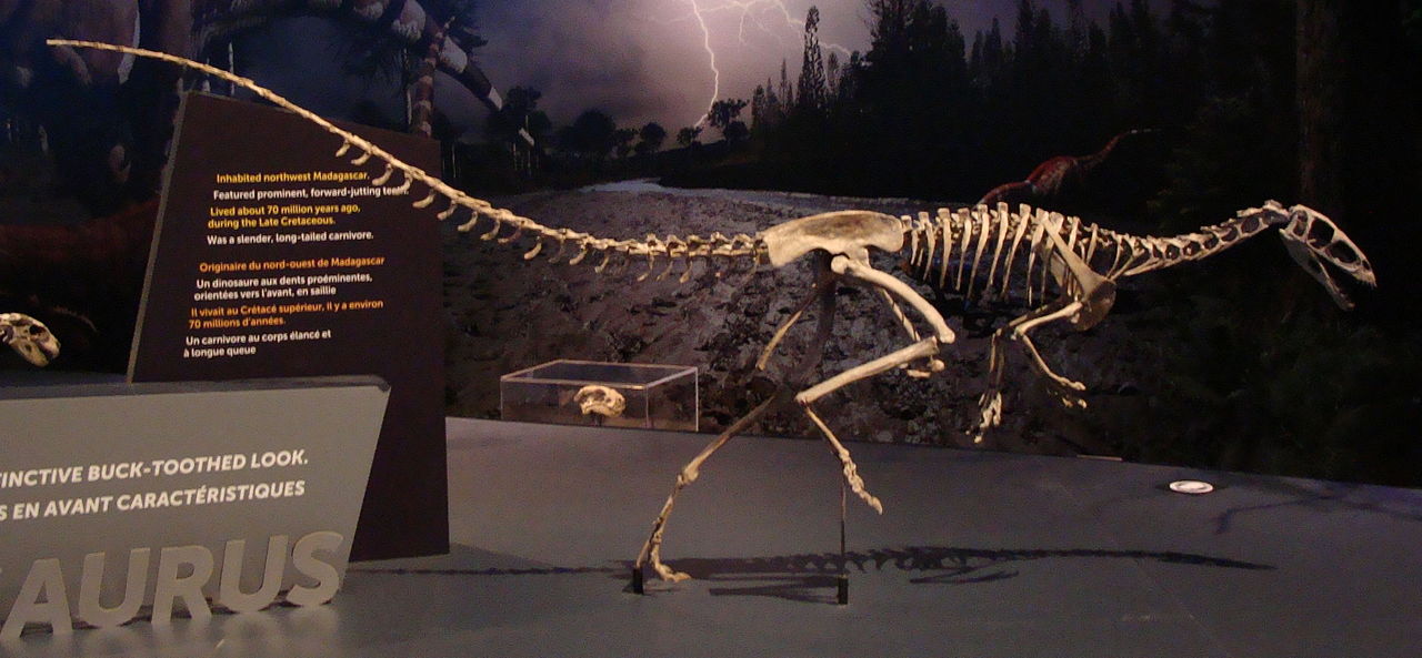 Masiakasaurus