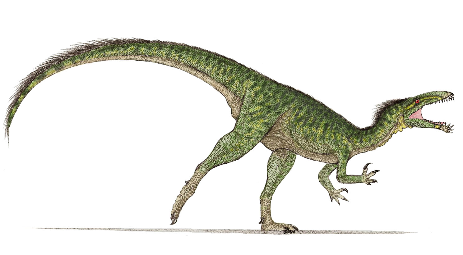 Masiakasaurus, Foto: paleo-studies.tumblr.com