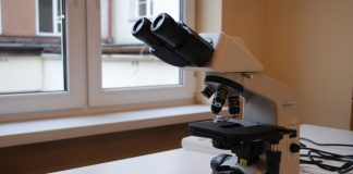 Cine a inventat microscopul optic si care este istoria acestuia? Microscop Optic