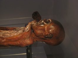 OTZI1