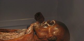 Omul din Similaun – o descoperire exceptionala OTZI1