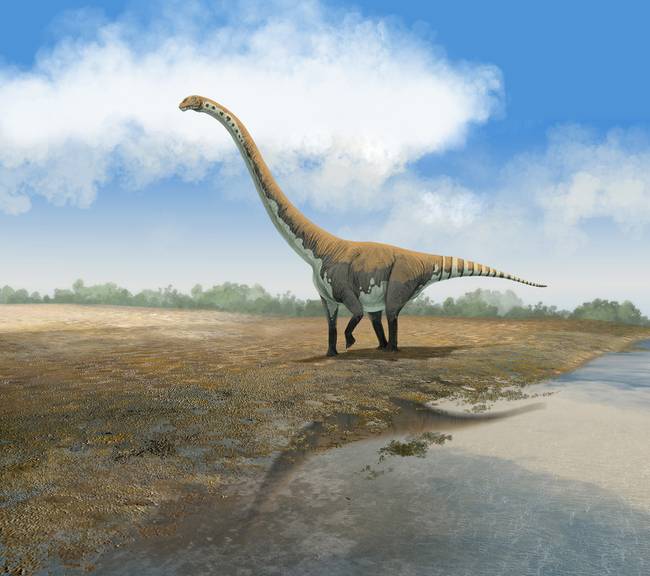 Omeisaurus, Foto: imagekind.com