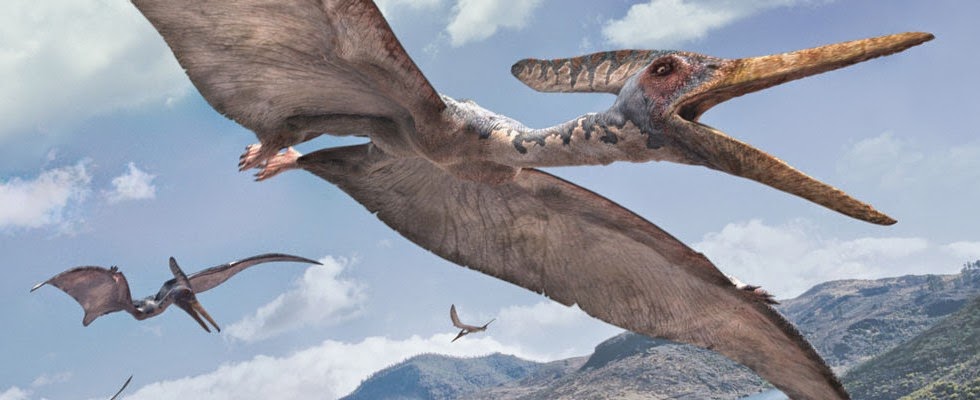 Pteranodon, Foto: spanishnature.blogspot.com