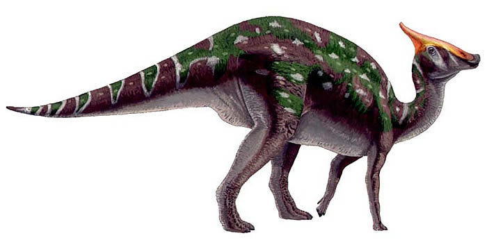 Saurolophus, Foto: sauropedia.wordpress.com